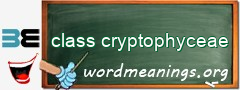 WordMeaning blackboard for class cryptophyceae